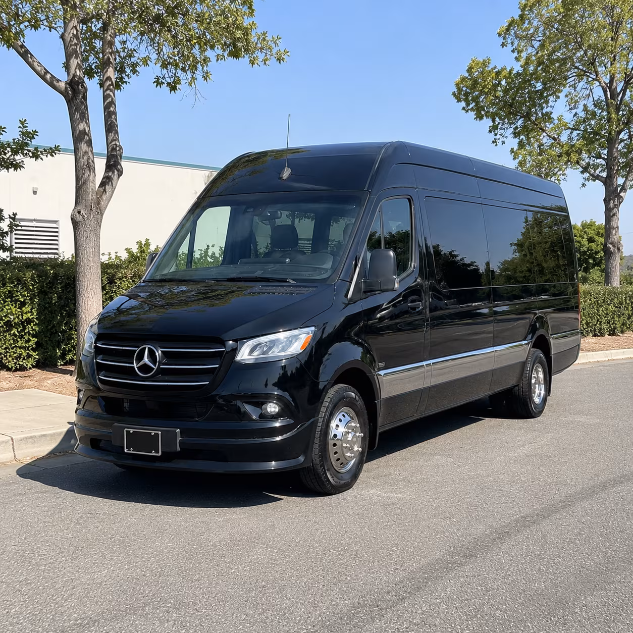 missouri city sprinter van with driver